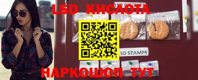 mdma Гатчина