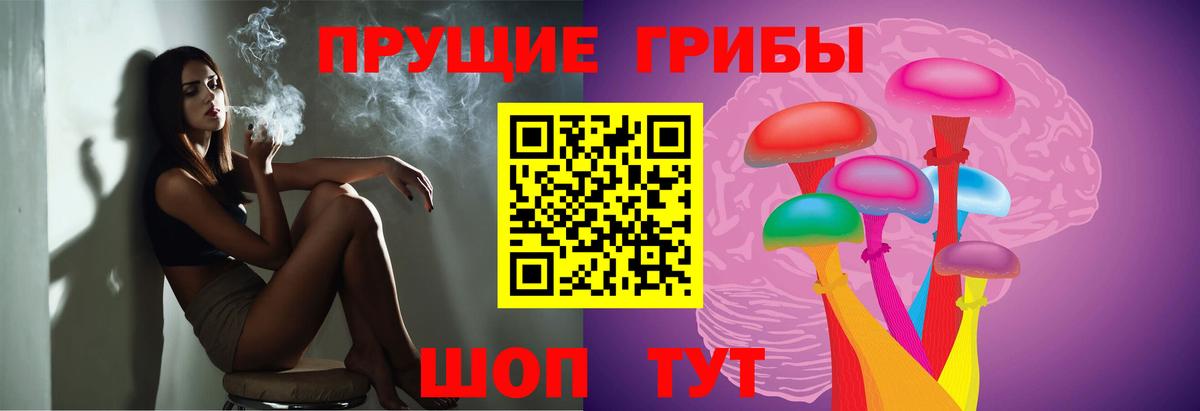 Псилоцибиновые грибы Cubensis Нефтекумск